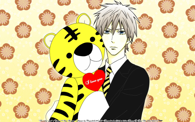 Man stuffed animal tiger wallpaper free wallpaper - medium preview image