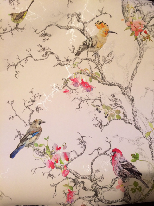 Birds branch flowers leaves vines free wallpaper for mobile - medium preview image