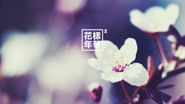 Flower closeup japanese symbol blurry free wallpaper - medium preview image