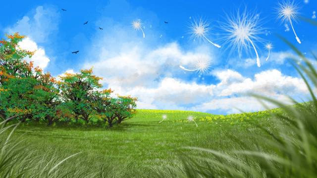 Field trees sky fireworks birds free wallpaper - medium preview image