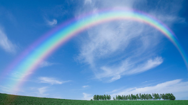 Rainbow field grass trees sunny free wallpaper - medium preview image