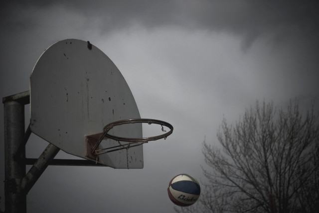Basketball air hoop tree sport free wallpaper - medium preview image