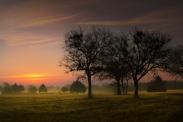 Field trees sunset clouds sky #2 free wallpaper - medium preview image