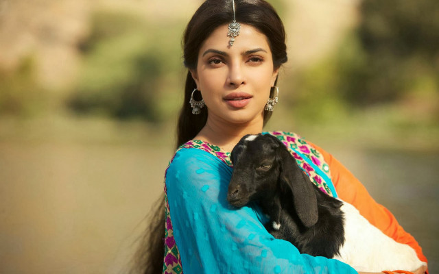 Woman holding goat water trees free wallpaper - medium preview image