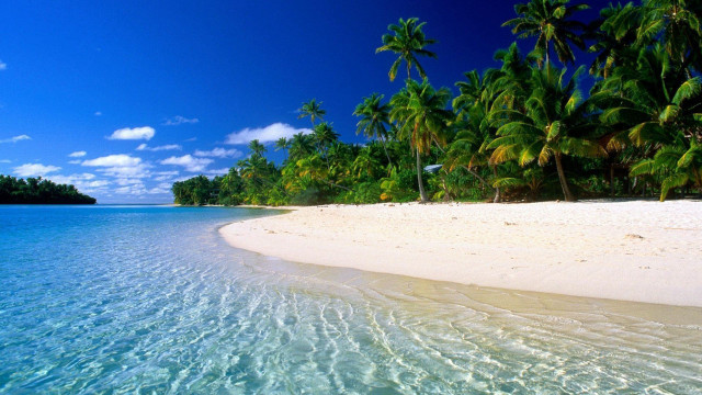 Beach palm trees clear water #4 free wallpaper - medium preview image