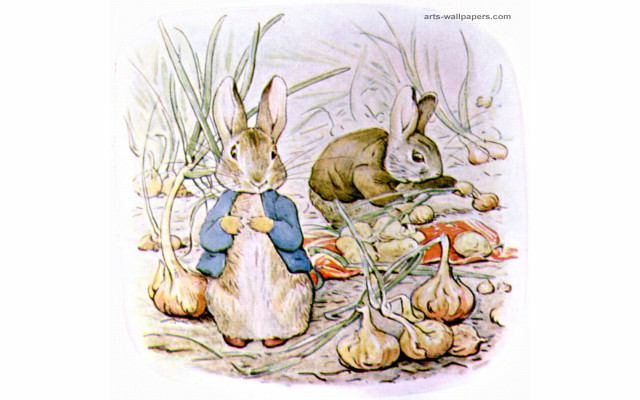 Rabbits garlic field sitting together free wallpaper - medium preview image
