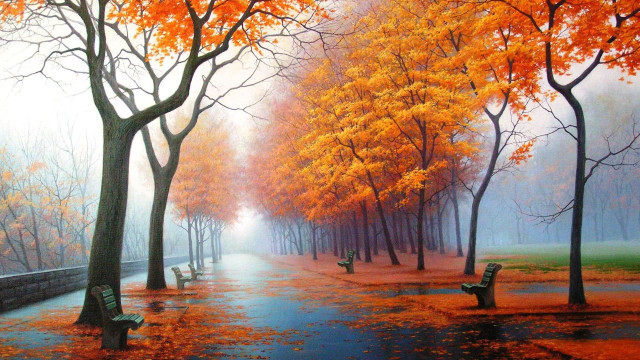Park benches trees fall colors #4 free wallpaper - medium preview image