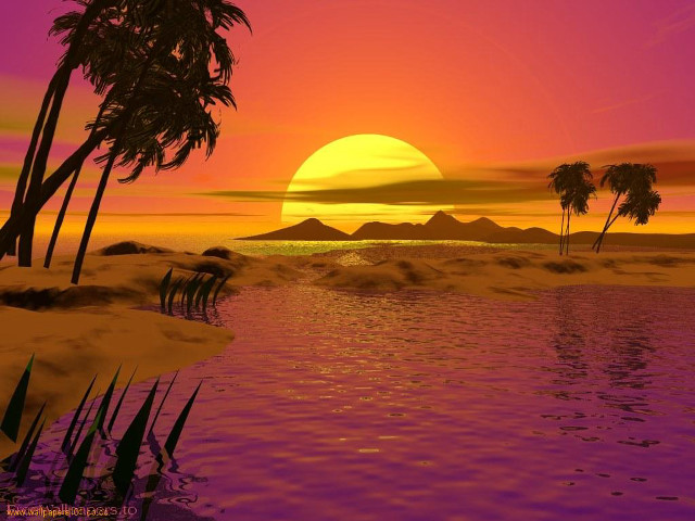 Sunset palm trees water mountain #4 free wallpaper - medium preview image