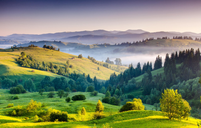 Green valley trees mountains fog free wallpaper - medium preview image