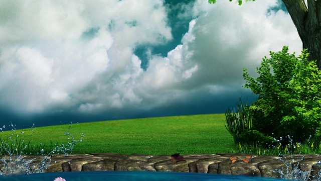 Tree pond field sky clouds free wallpaper for desktop - medium preview image