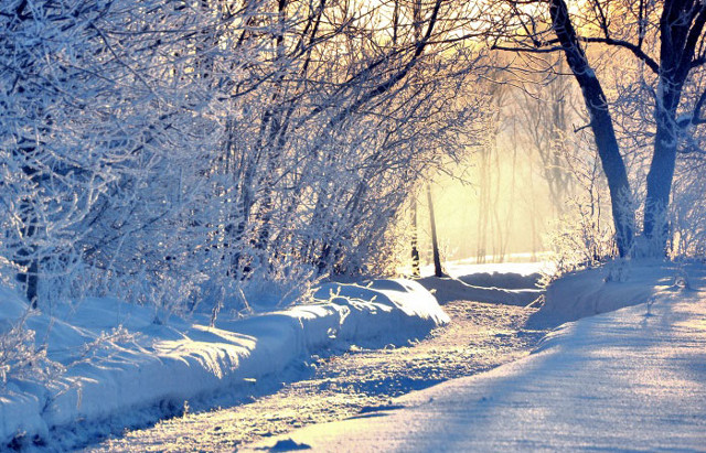 Snowy path trees bench sunbeam free wallpaper - medium preview image