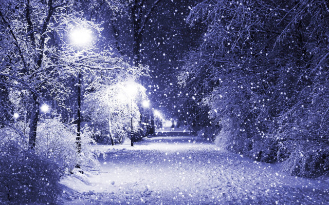 Snowy night park streetlight trees free wallpaper - medium preview image