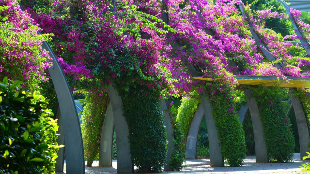Purple flowers concrete pillar garden free wallpaper - medium preview image