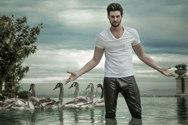 Man standing water swans lake free wallpaper - medium preview image