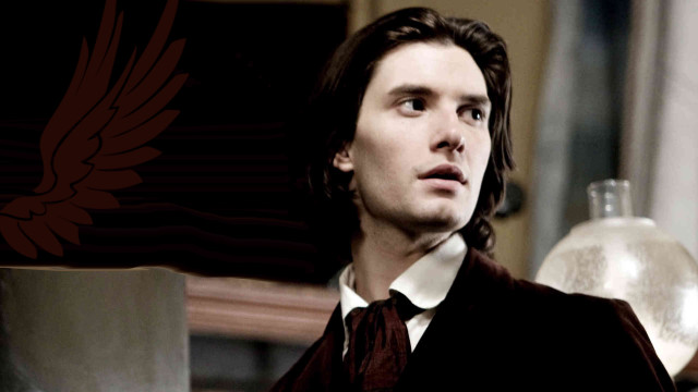 Man suit tie looking bird free wallpaper - medium preview image