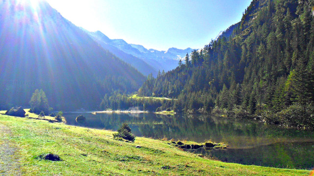 Grassy field lake mountains sunshine free wallpaper - medium preview image