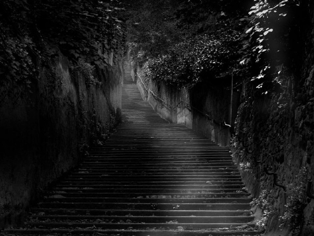 Stairs tunnel forest vines stone free wallpaper - medium preview image