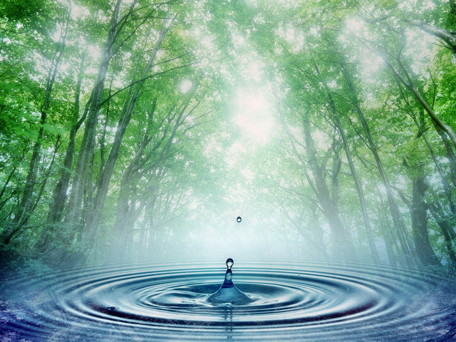 Water drop person trees background free wallpaper - medium preview image