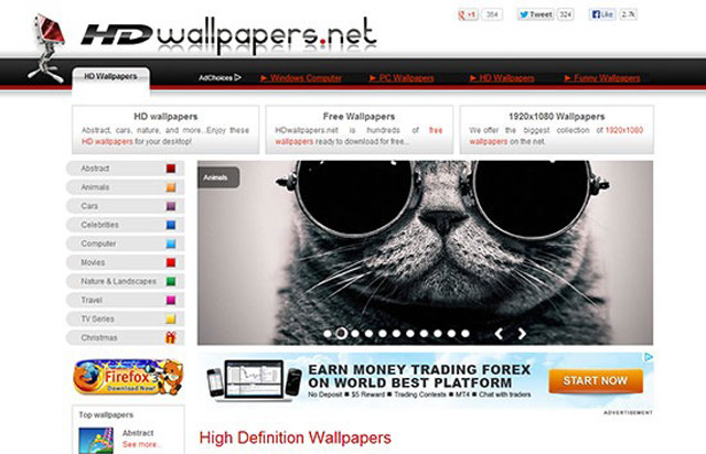 Cat sunglasses looking camera website free wallpaper - medium preview image