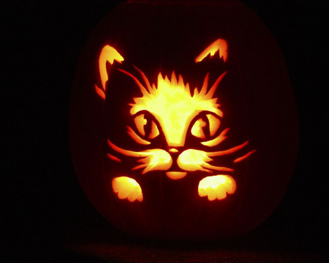 Carved pumpkin cat face glowing free wallpaper - medium preview image