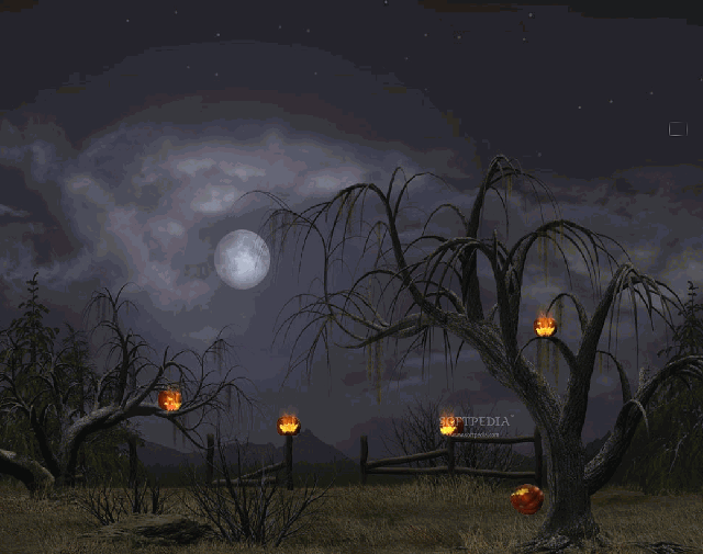 Night scene full moon pumpkin free wallpaper - medium preview image