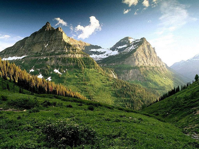 Mountain range trees snowy tops free wallpaper - medium preview image