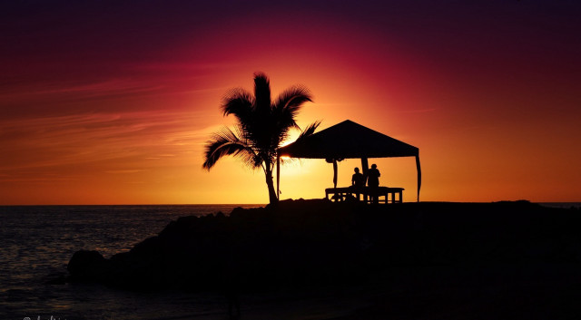 Couple bench palm tree sunset free wallpaper - medium preview image