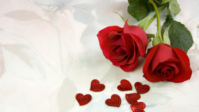 Rose red hearts white surface free wallpaper - medium preview image