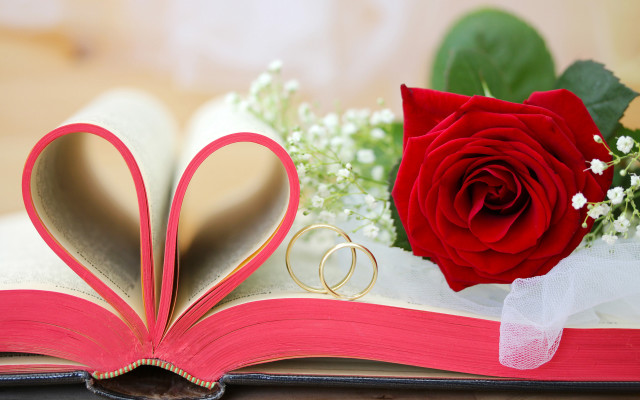 Romantic book heart ring rose free wallpaper - medium preview image
