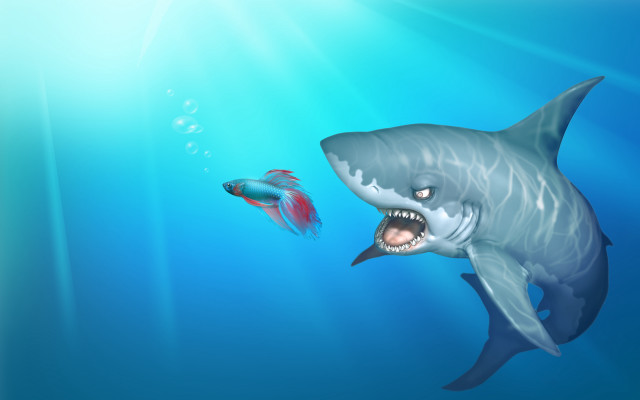 Shark fish ocean sunlight bubbles free wallpaper - medium preview image
