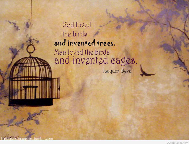 Bird cage quote god loved free wallpaper - medium preview image