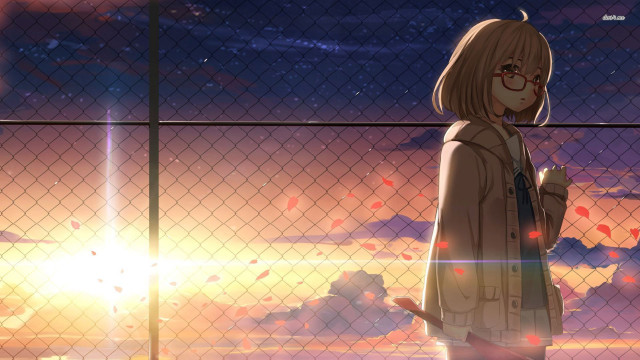 Woman cellphone sunset fence autumn free wallpaper - medium preview image