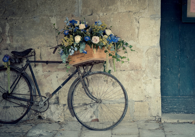 Bicycle basket flowers parked wall free wallpaper - medium preview image