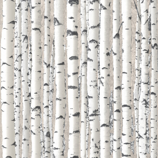 White trees black trunks background free wallpaper - medium preview image