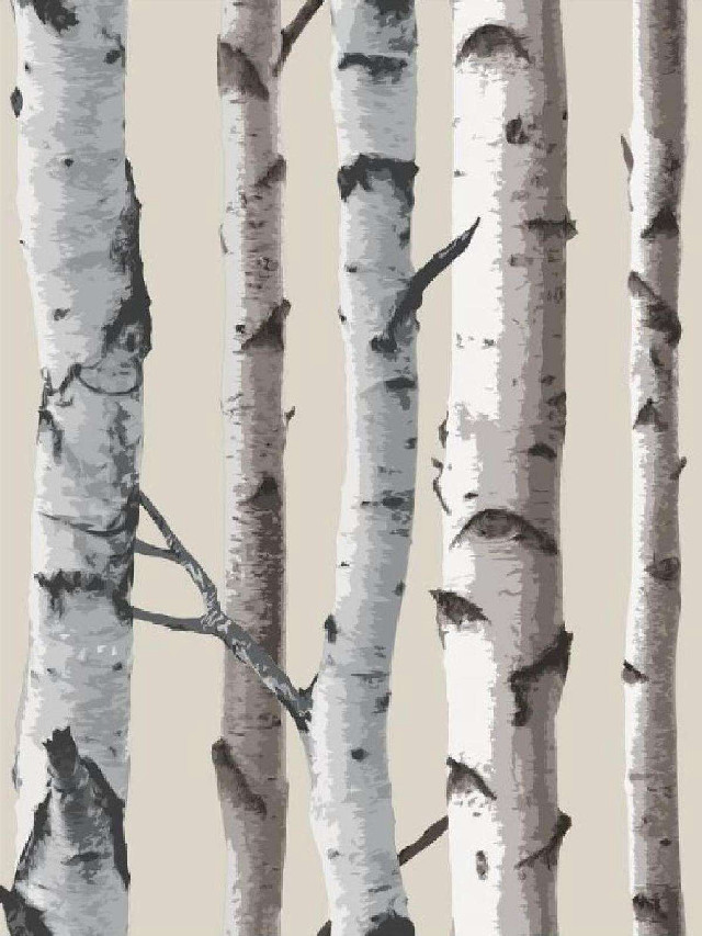 Trees white brown beige background free wallpaper - medium preview image