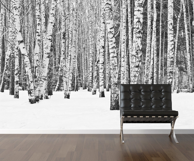 Black white forest snow bench free wallpaper - medium preview image