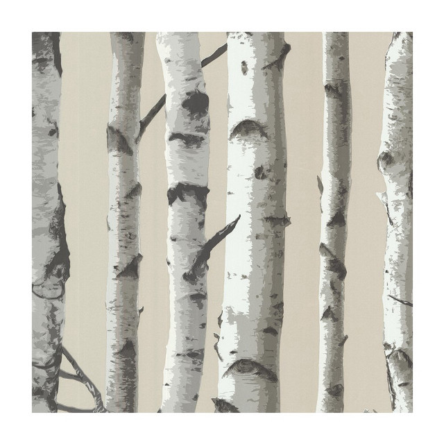 Trees white trunks beige background free wallpaper - medium preview image