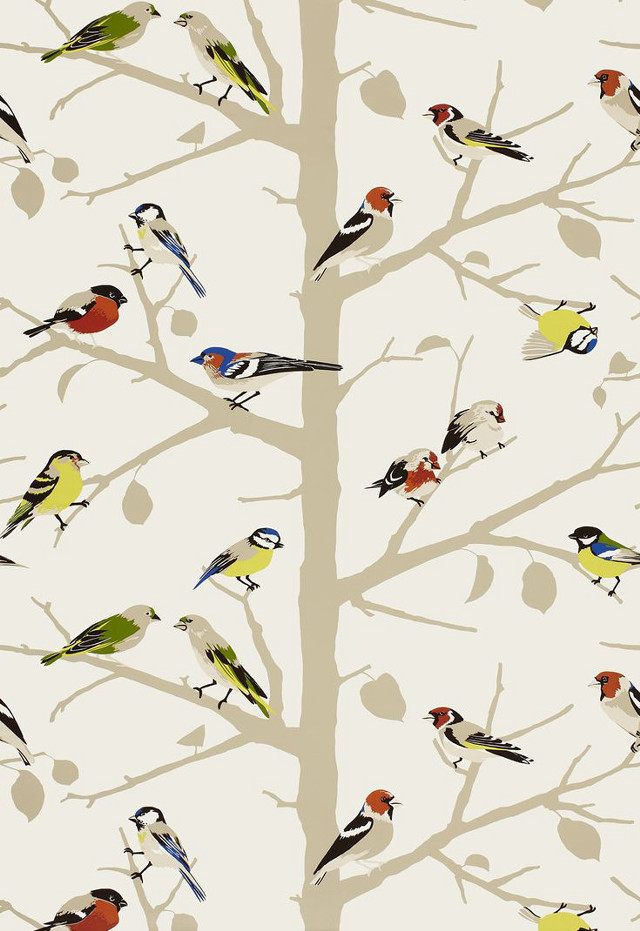 Flock birds tree branch white free wallpaper - medium preview image
