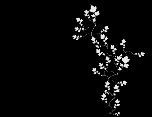 Black white flower vines cherryblossoms free wallpaper - medium preview image
