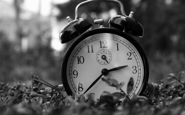 Black white alarmclock grass blurry free wallpaper - medium preview image