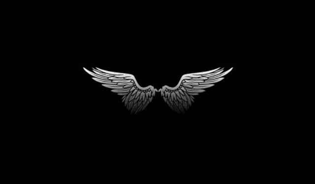 Black white wings reflection angel free wallpaper - medium preview image
