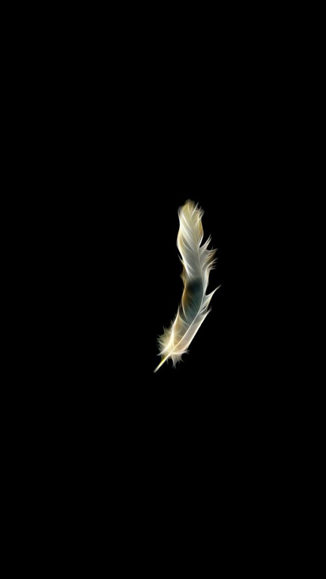 White bird flying dark wings free wallpaper - medium preview image
