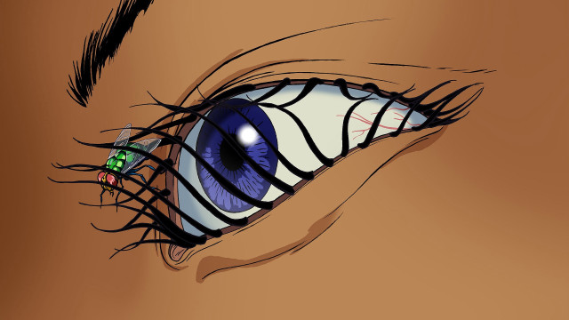 Blue eye green bug brown free wallpaper - medium preview image