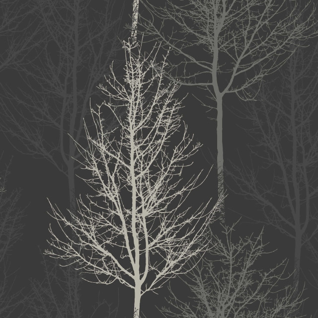 Black white bare tree ambient free wallpaper - medium preview image