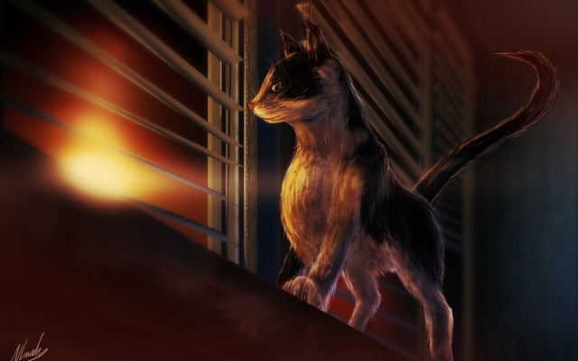 Cat standing ledged window sunset free wallpaper - medium preview image