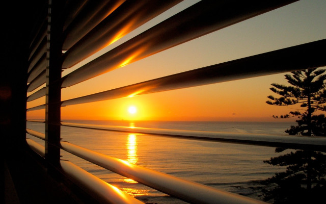 Sunset window blinds tree foreground free wallpaper - medium preview image