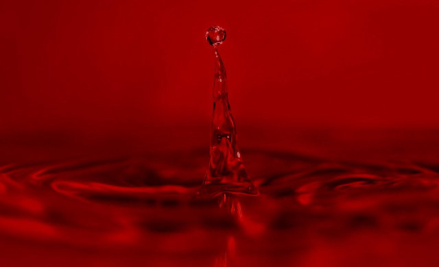 Red liquid droplet macro blood free wallpaper - medium preview image