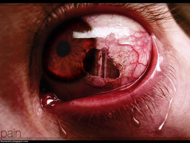 Close up red eye building free wallpaper - medium preview image