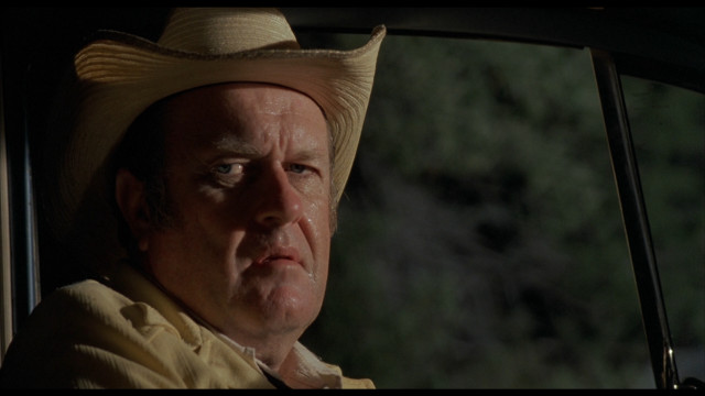 Cowboy hat man looking out free wallpaper - medium preview image