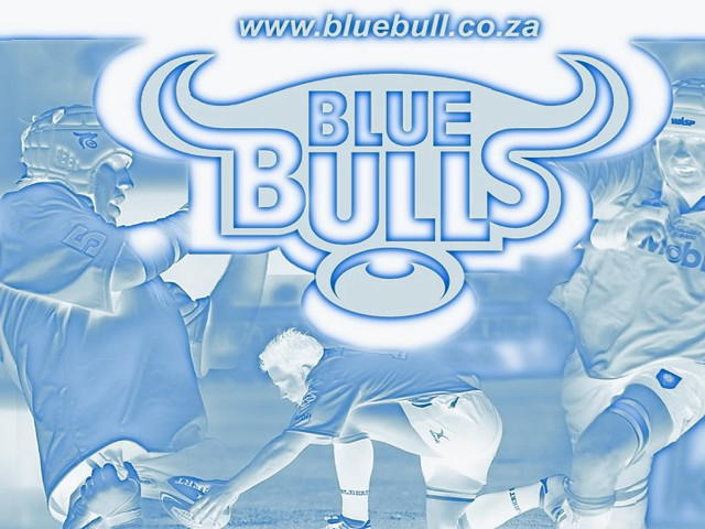 Blue bulls soccer man bull free wallpaper - medium preview image